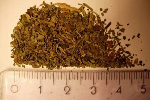 AB