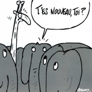 F2 A toi de te faire Elephant nous ne souhaitons pas changer notre trompe en Cou de Girafe