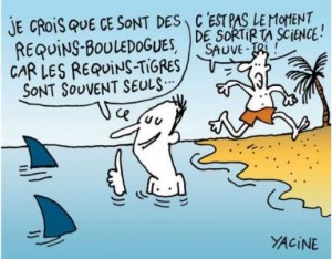 F3 Pour aller ou ils sont partout Dans les airs dans les flots tout autant que sur terre