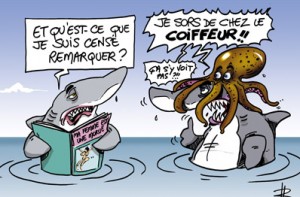 F4 Que meme les requins finissent par trinquer