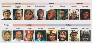 F4   Certaines mutations devenues Hereditaires  en tout cas de nature à justifier le Mot Race