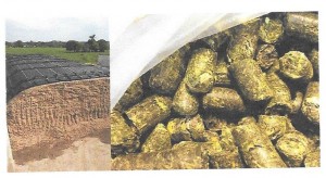 F6       Que sous forme de   Berlingots   de  Sainfoin